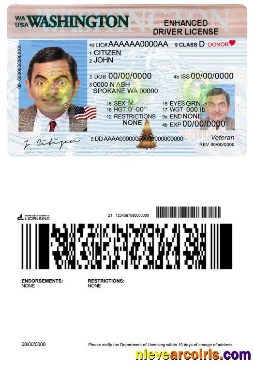 USA Washington driving license